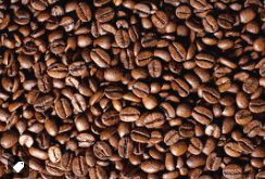 Bag of Coffee Beans